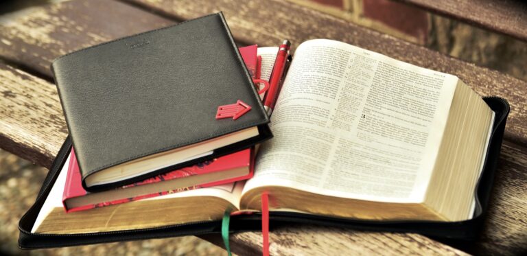 Read more about the article May 24 Bible Reading