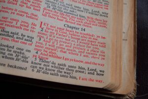 January 28 Bible Readings