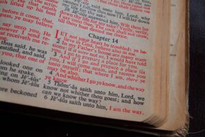 Read more about the article January 28 Bible Readings