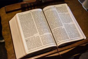 Read more about the article January 27 Bible Readings