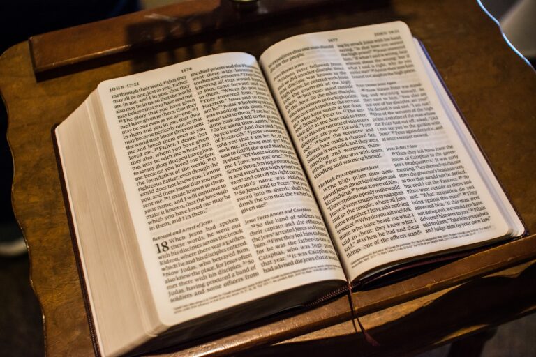 Read more about the article July 24 Bible Reading