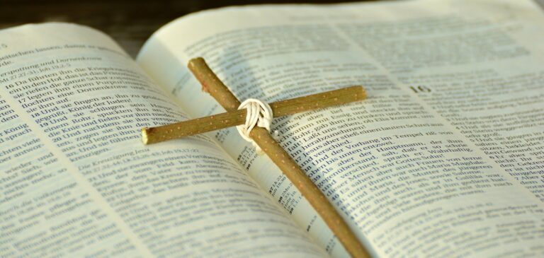 Read more about the article January 30 Bible Readings