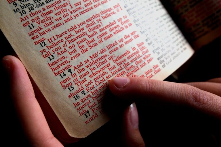 Read more about the article January 31 Bible Readings