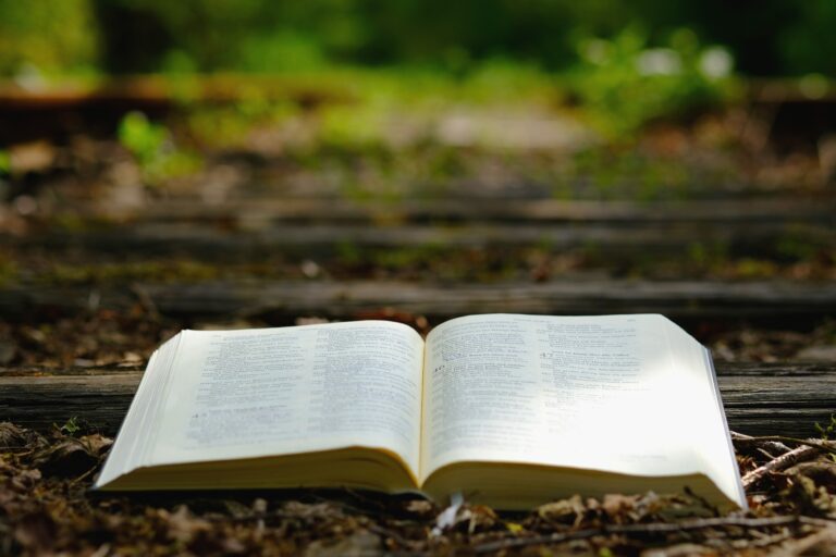 Read more about the article September 3 Bible Reading