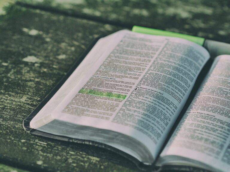 Read more about the article November 21 Bible Reading