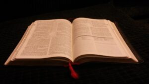 February 24 Bible Reading