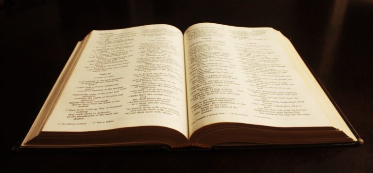 Read more about the article February 2 Bible Readings