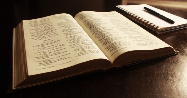 Read more about the article February 22 Bible Reading