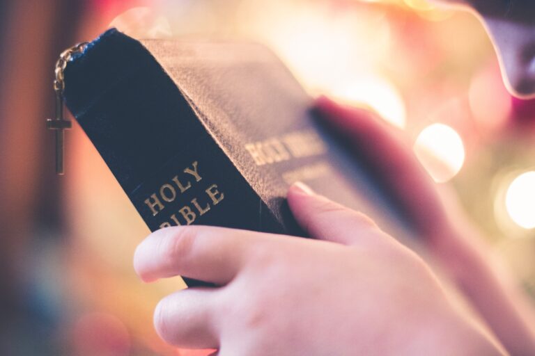 Read more about the article June 3 Bible Reading