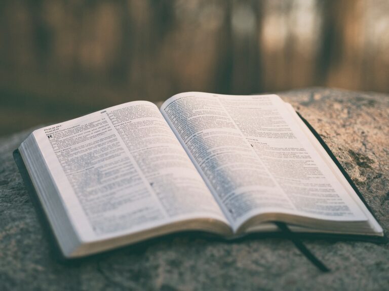 Read more about the article January 9 Bible Readings